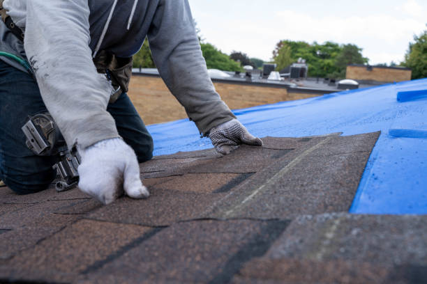 Best Roof Repair Services  in Amherst, WI