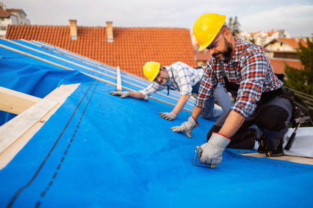 Best Roof Maintenance Services  in Amherst, WI