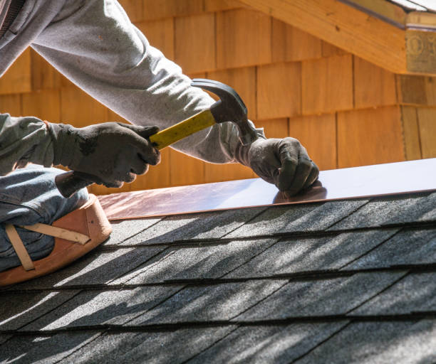 Best Roof Gutter Cleaning  in Amherst, WI